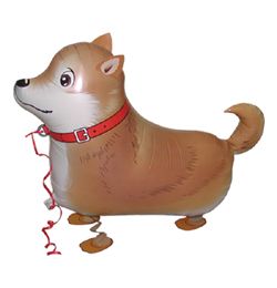 SAG balloons - Pes - Shiba Inu - Kráčajúci balón - Walking balloon - 57 cm