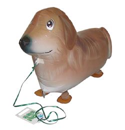 SAG balloons - Pes - Zlatý Retriever - Kráčajúci balón - Walking balloon - 73 cm